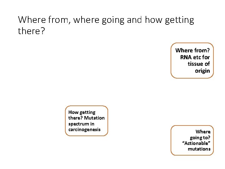 Where from, where going and how getting there? Where from? RNA etc for tissue Where from, where going and how getting there? Where from? RNA etc for tissue