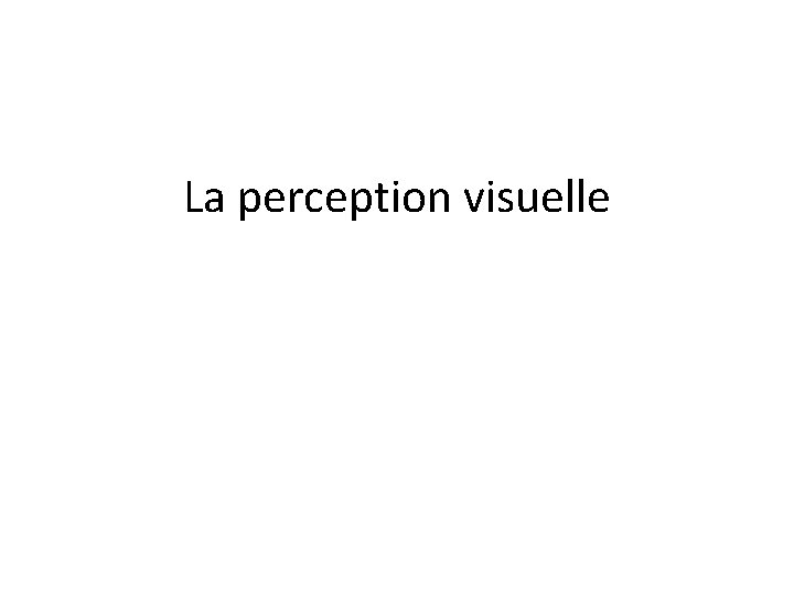 La perception visuelle 