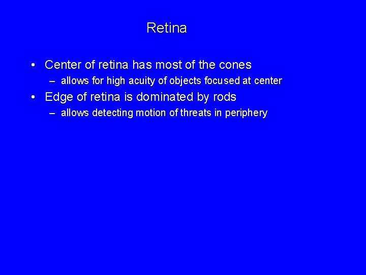 Retina • Center of retina has most of the cones – allows for high