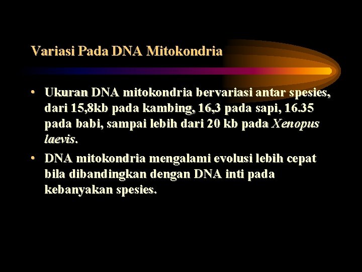 Variasi Pada DNA Mitokondria • Ukuran DNA mitokondria bervariasi antar spesies, dari 15, 8