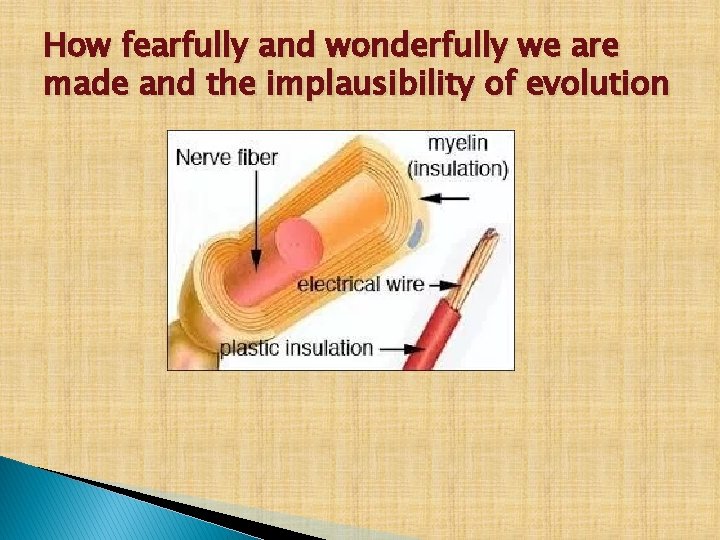 How fearfully and wonderfully we are made and the implausibility of evolution 