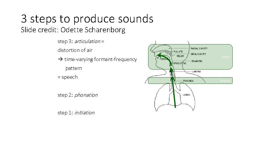 3 steps to produce sounds Slide credit: Odette Scharenborg step 3: articulation = distortion