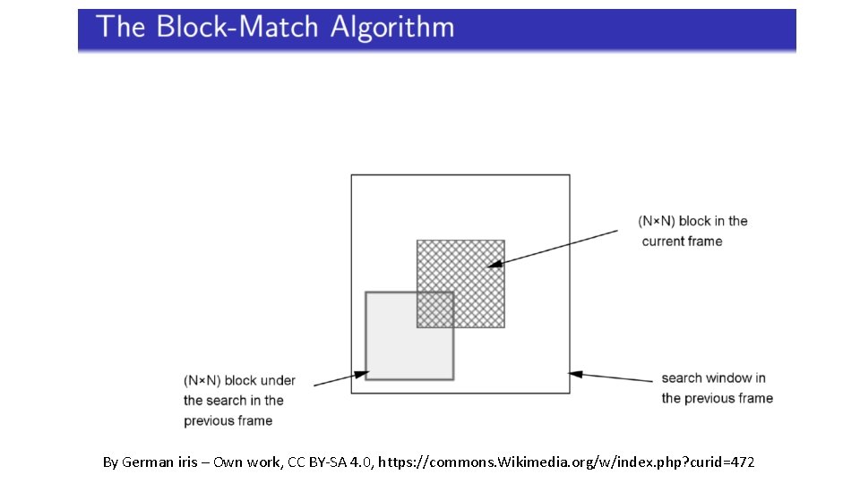 By German iris – Own work, CC BY-SA 4. 0, https: //commons. Wikimedia. org/w/index.