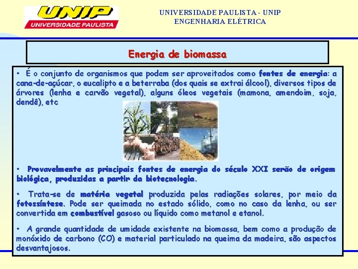 UNIVERSIDADE PAULISTA - UNIP ENGENHARIA ELÉTRICA Energia de biomassa • É o conjunto de