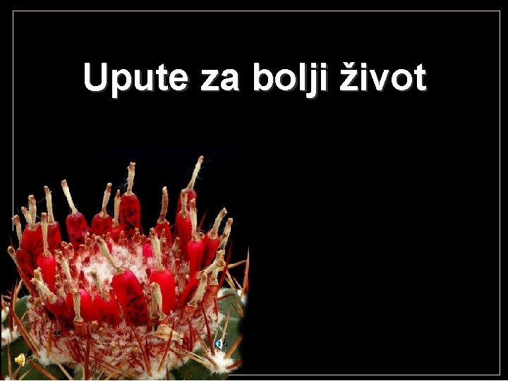 Upute za bolji život 