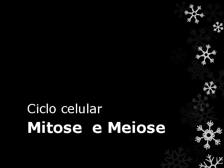 Ciclo celular Mitose e Meiose 