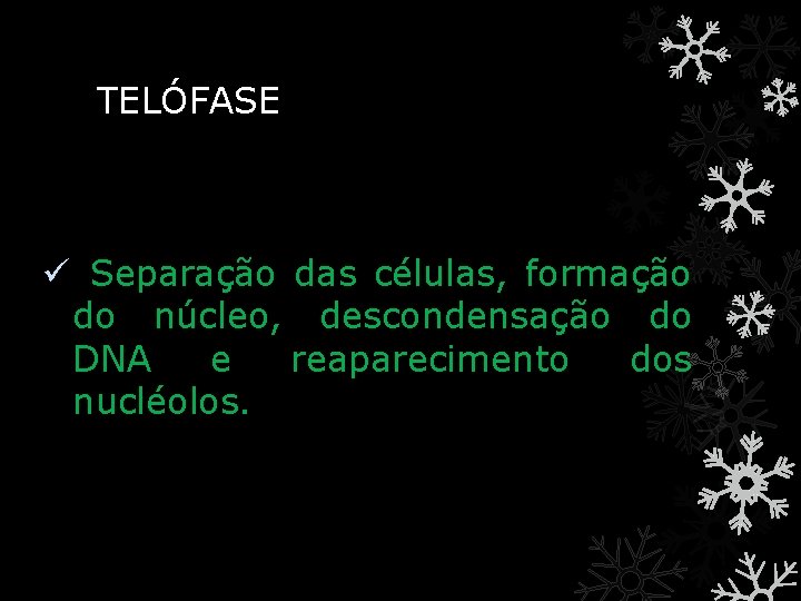 TELÓFASE ü Separação das células, formação do núcleo, descondensação do DNA e reaparecimento dos