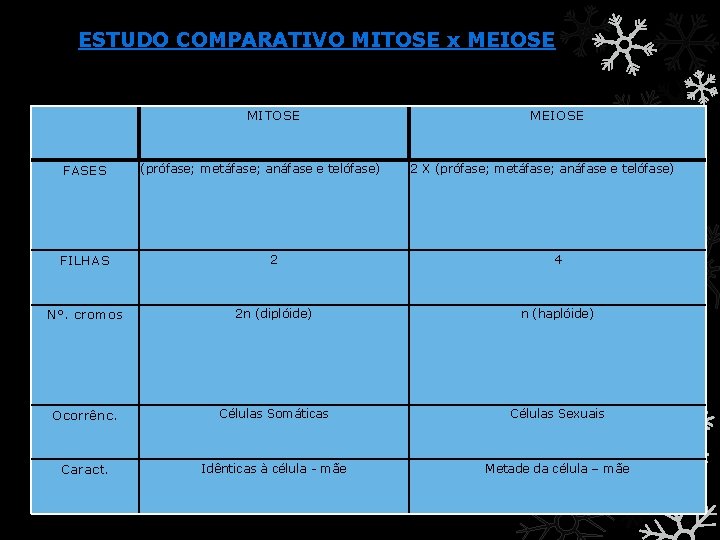 ESTUDO COMPARATIVO MITOSE x MEIOSE MITOSE FASES (prófase; metáfase; anáfase e telófase) MEIOSE 2