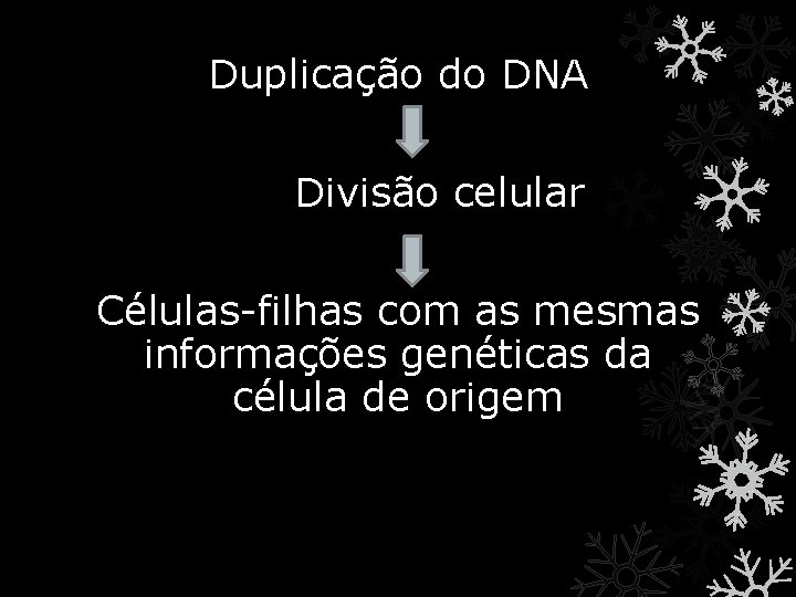 Duplicação do DNA Divisão celular Células-filhas com as mesmas informações genéticas da célula de