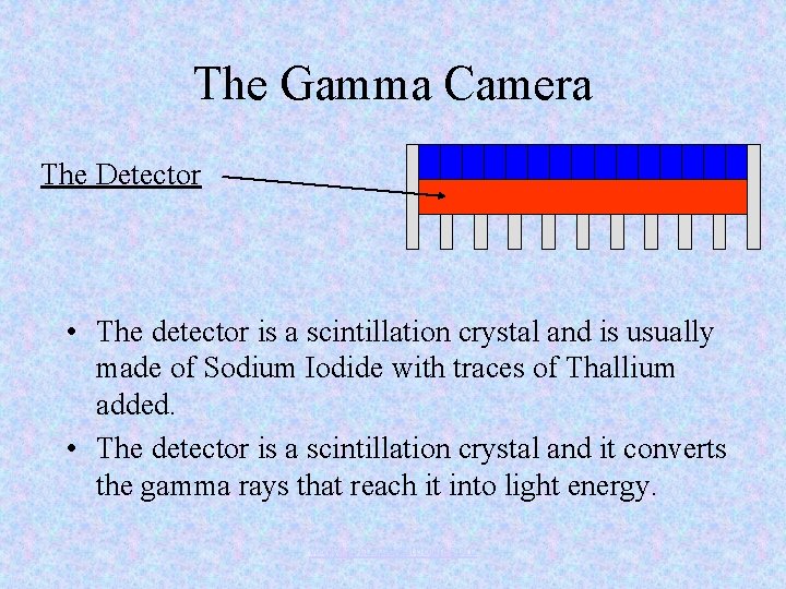The Gamma Camera The Detector • The detector is a scintillation crystal and is