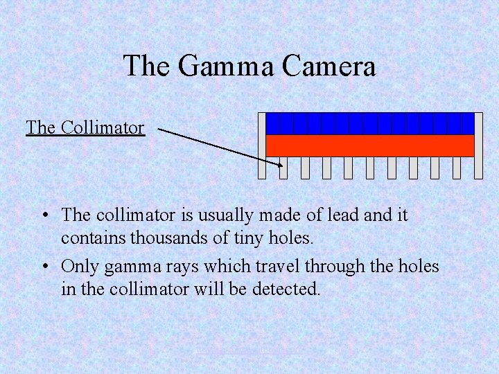 The Gamma Camera The Collimator • The collimator is usually made of lead and