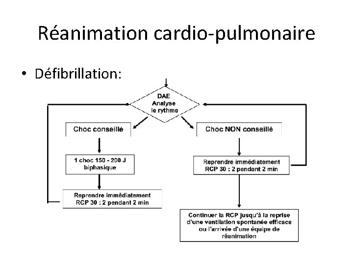 Réanimation cardio-pulmonaire • Défibrillation: 