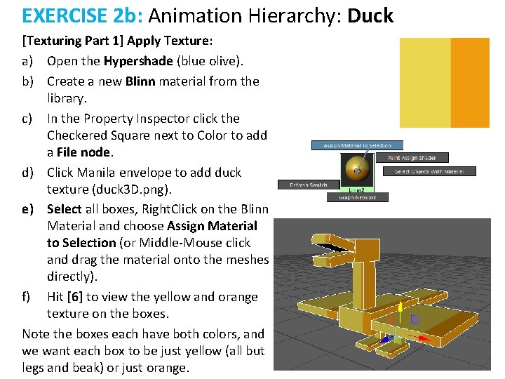EXERCISE 2 b: Animation Hierarchy: Duck [Texturing Part 1] Apply Texture: a) Open the