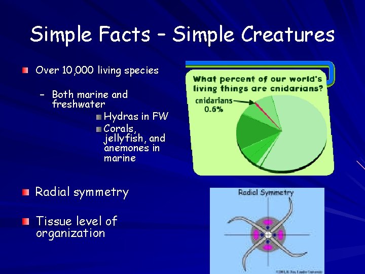 Simple Facts – Simple Creatures Over 10, 000 living species – Both marine and Simple Facts – Simple Creatures Over 10, 000 living species – Both marine and