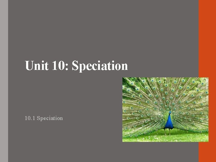 Unit 10: Speciation 10. 1 Speciation 