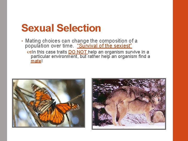 Sexual Selection • Mating choices can change the composition of a population over time.