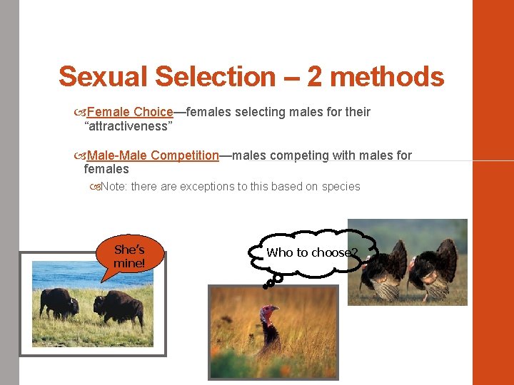 Sexual Selection – 2 methods Female Choice—females selecting males for their “attractiveness” Male-Male Competition—males