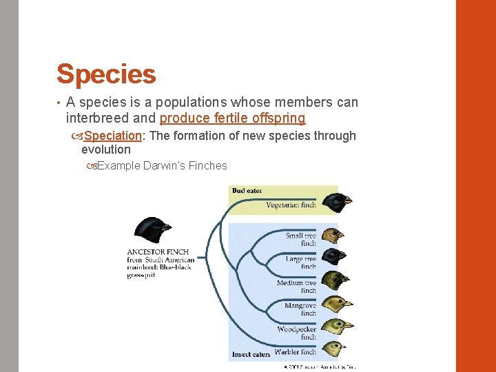 Species • A species is a populations whose members can interbreed and produce fertile