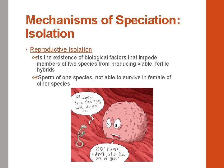 Mechanisms of Speciation: Isolation • Reproductive Isolation Is the existence of biological factors that