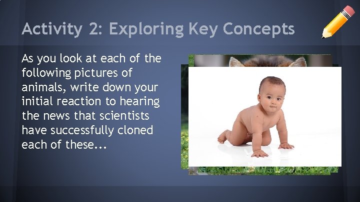 Activity 2: Exploring Key Concepts As you look at each of the following pictures Activity 2: Exploring Key Concepts As you look at each of the following pictures
