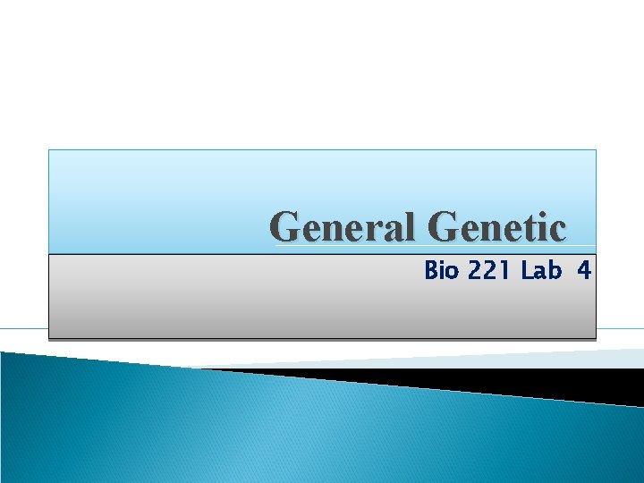 General Genetic Bio 221 Lab 4 