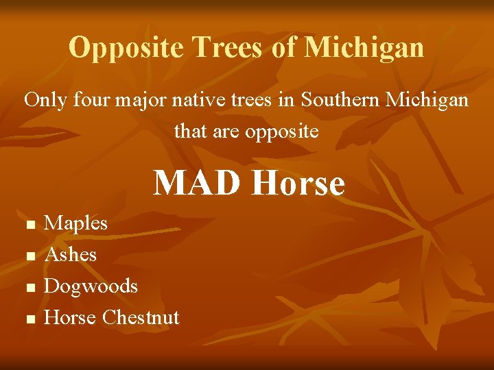 Opposite Trees of Michigan Only four major native trees in Southern Michigan that are