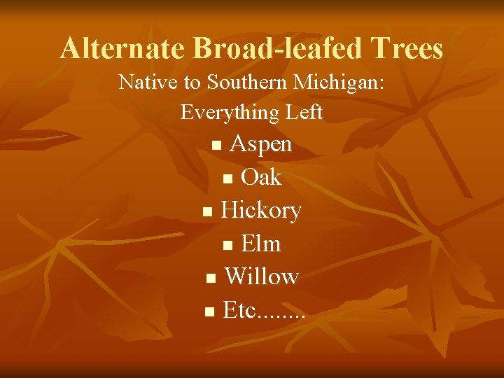 Alternate Broad-leafed Trees Native to Southern Michigan: Everything Left Aspen n Oak n Hickory
