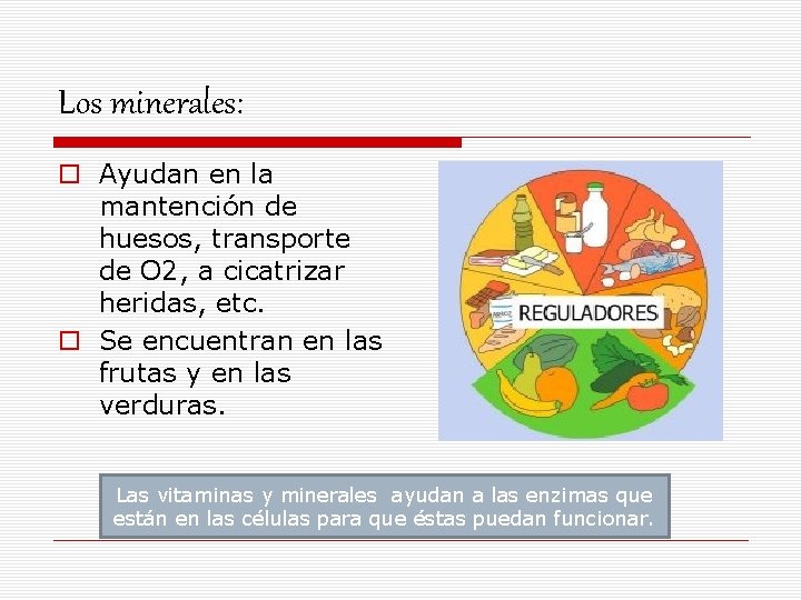 Los minerales: o Ayudan en la mantención de huesos, transporte de O 2, a