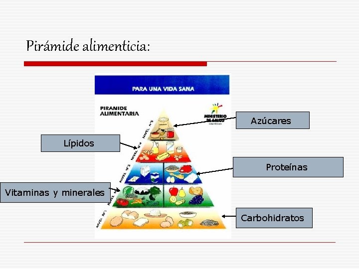 Pirámide alimenticia: Azúcares Lípidos Proteínas Vitaminas y minerales Carbohidratos 