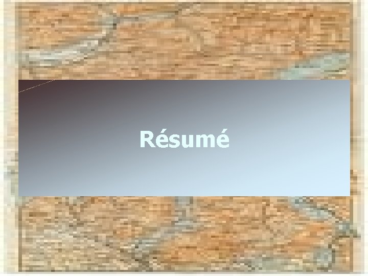 Résumé 