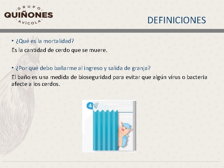 DEFINICIONES • ¿Qué es la mortalidad? Es la cantidad de cerdo que se muere.