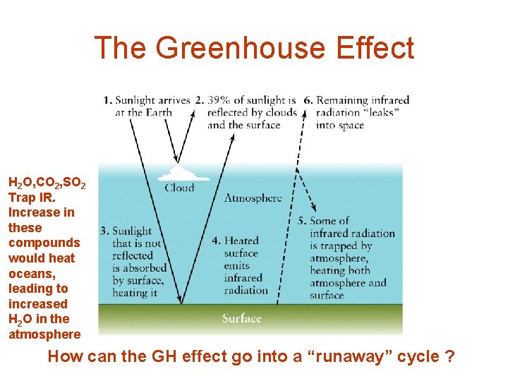 The Greenhouse Effect H 2 O, CO 2, SO 2 Trap IR. Increase in