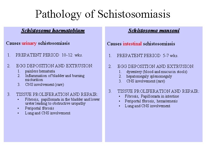 Pathology of Schistosomiasis Schistosoma mansoni Schistosoma haematobium Causes urinary schistosomiasis Causes intestinal schistosomiasis 1.