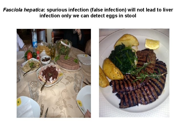 Fasciola hepatica: spurious infection (false infection) will not lead to liver infection only we