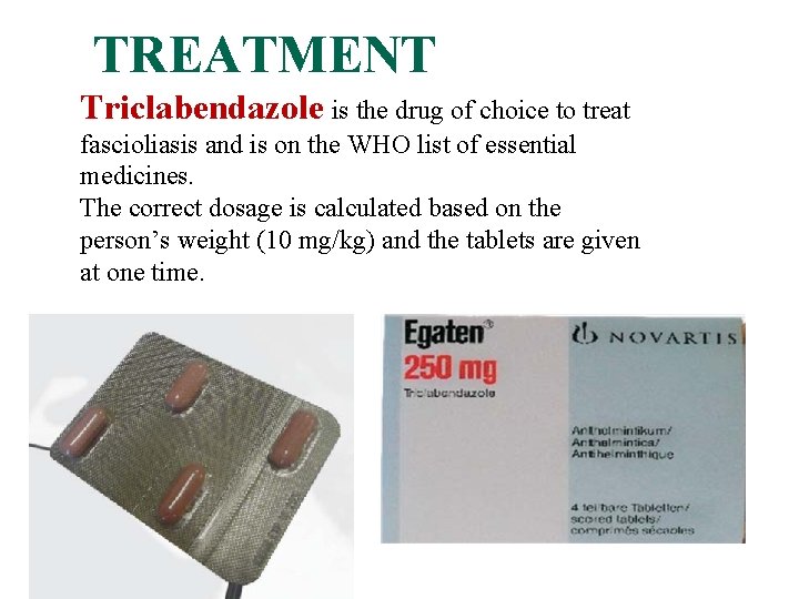 TREATMENT Triclabendazole is the drug of choice to treat fascioliasis and is on the