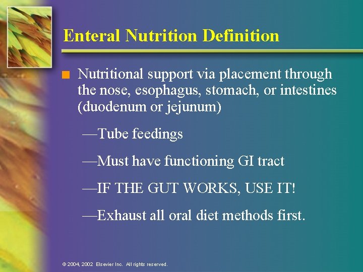 Enteral Nutrition Definition n Nutritional support via placement through the nose, esophagus, stomach, or