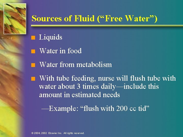 Sources of Fluid (“Free Water”) n Liquids n Water in food n Water from