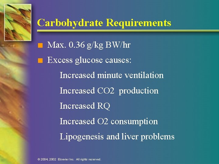 Carbohydrate Requirements n Max. 0. 36 g/kg BW/hr n Excess glucose causes: Increased minute