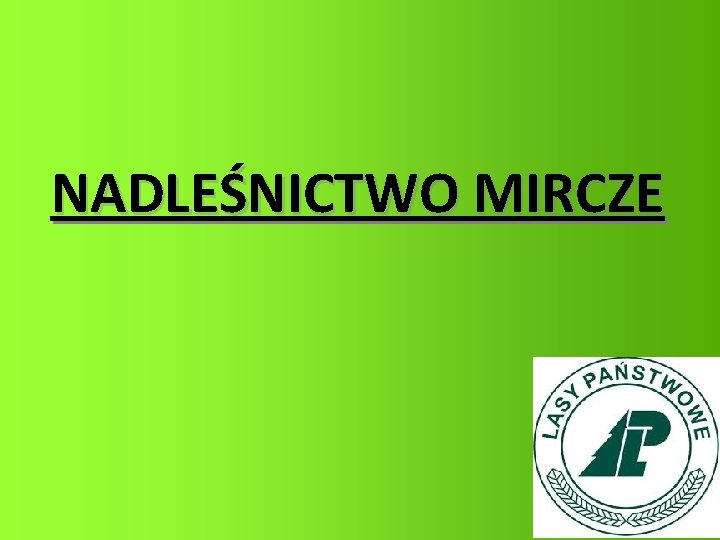 NADLEŚNICTWO MIRCZE 