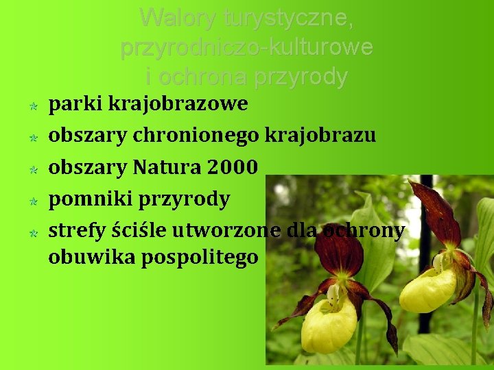 Walory turystyczne, przyrodniczo-kulturowe i ochrona przyrody parki krajobrazowe obszary chronionego krajobrazu obszary Natura 2000