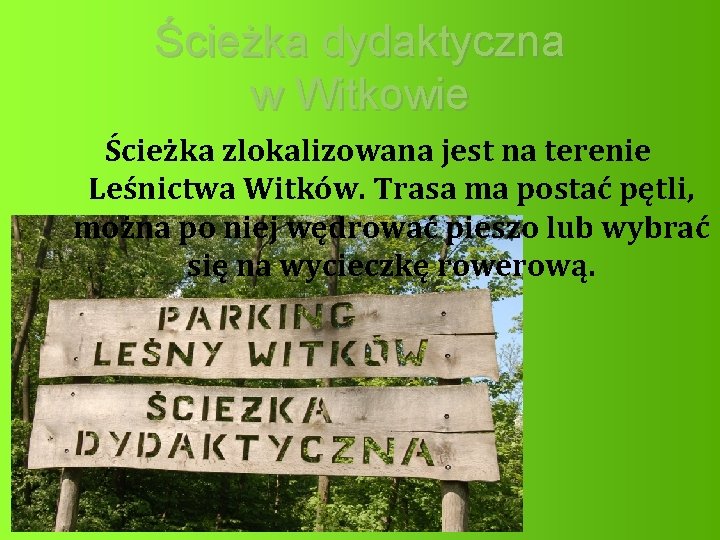 Ścieżka dydaktyczna w Witkowie Ścieżka zlokalizowana jest na terenie Leśnictwa Witków. Trasa ma postać