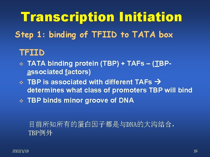 Transcription Initiation Step 1: binding of TFIID to TATA box TFIID v v v