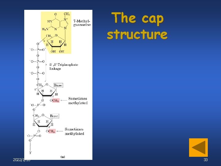 The cap structure 2022/1/18 33 