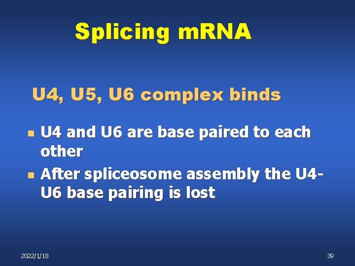 Splicing m. RNA U 4, U 5, U 6 complex binds n n U