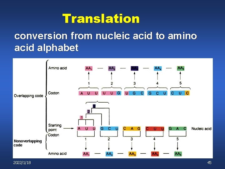 Translation conversion from nucleic acid to amino acid alphabet 2022/1/18 45 