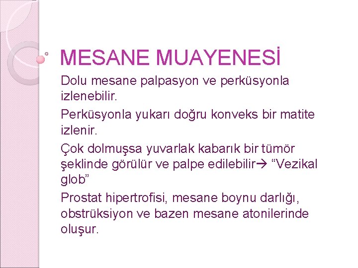 MESANE MUAYENESİ Dolu mesane palpasyon ve perküsyonla izlenebilir. Perküsyonla yukarı doğru konveks bir matite