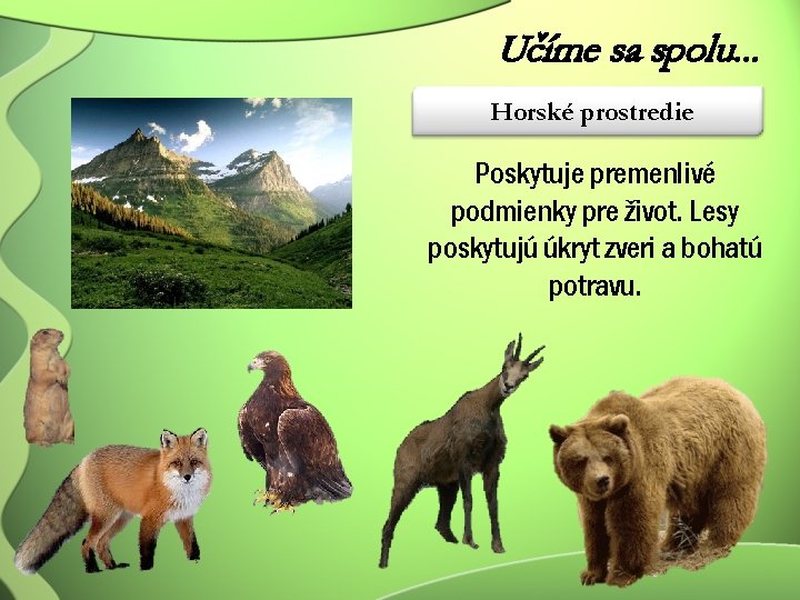 Učíme sa spolu. . . Horské prostredie Poskytuje premenlivé podmienky pre život. Lesy poskytujú