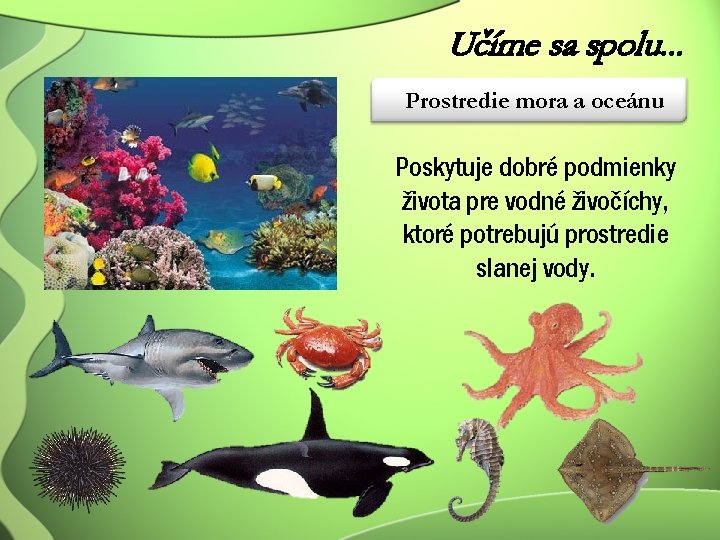 Učíme sa spolu. . . Prostredie mora a oceánu Poskytuje dobré podmienky života pre