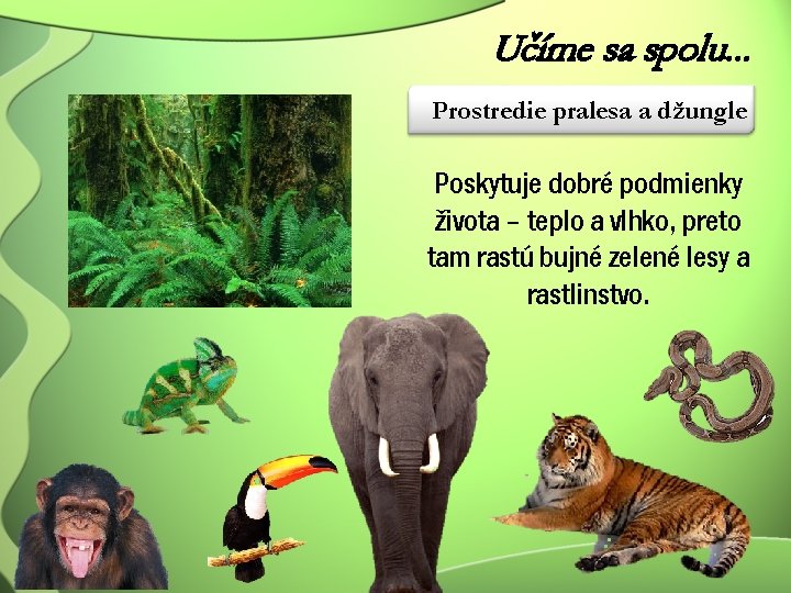Učíme sa spolu. . . Prostredie pralesa a džungle Poskytuje dobré podmienky života –
