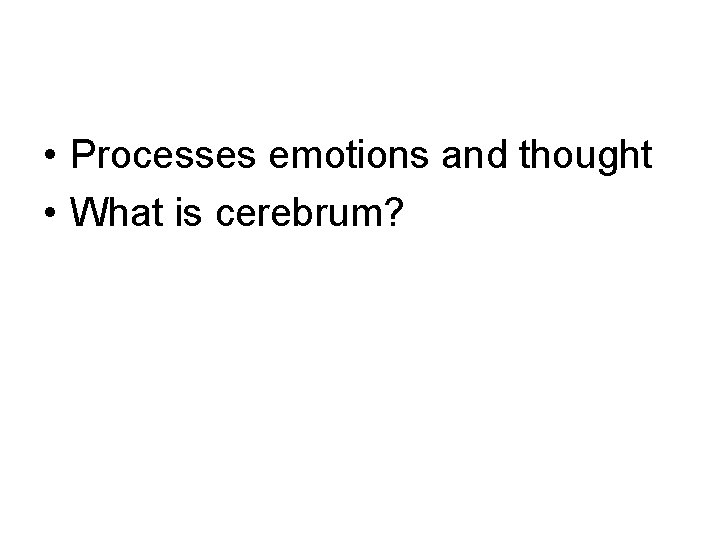  • Processes emotions and thought • What is cerebrum? 